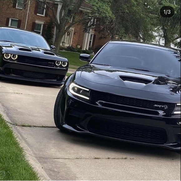 Meet your Posher, Posh - Picture 1 of 1